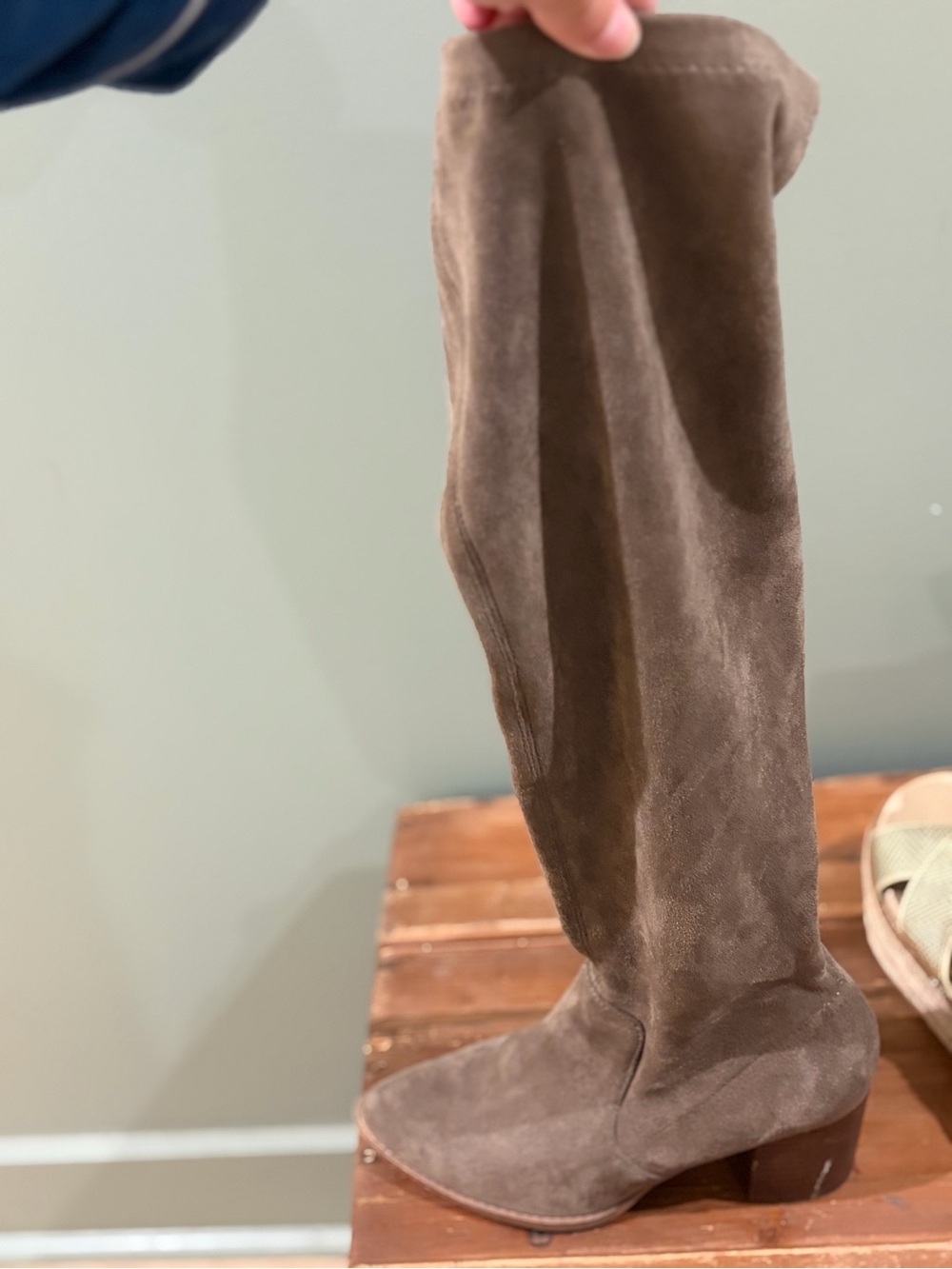 DV by Dolce Vita Brown Suede Over-the-Knee Boots